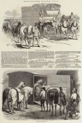 Corridas de Doncaster, 1849